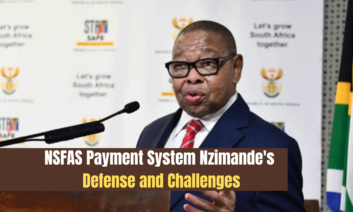 NSFAS Payment System Nzimande's Defense and Challenges