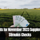 Payments for November 2023 Supplementary Stimulus Checks