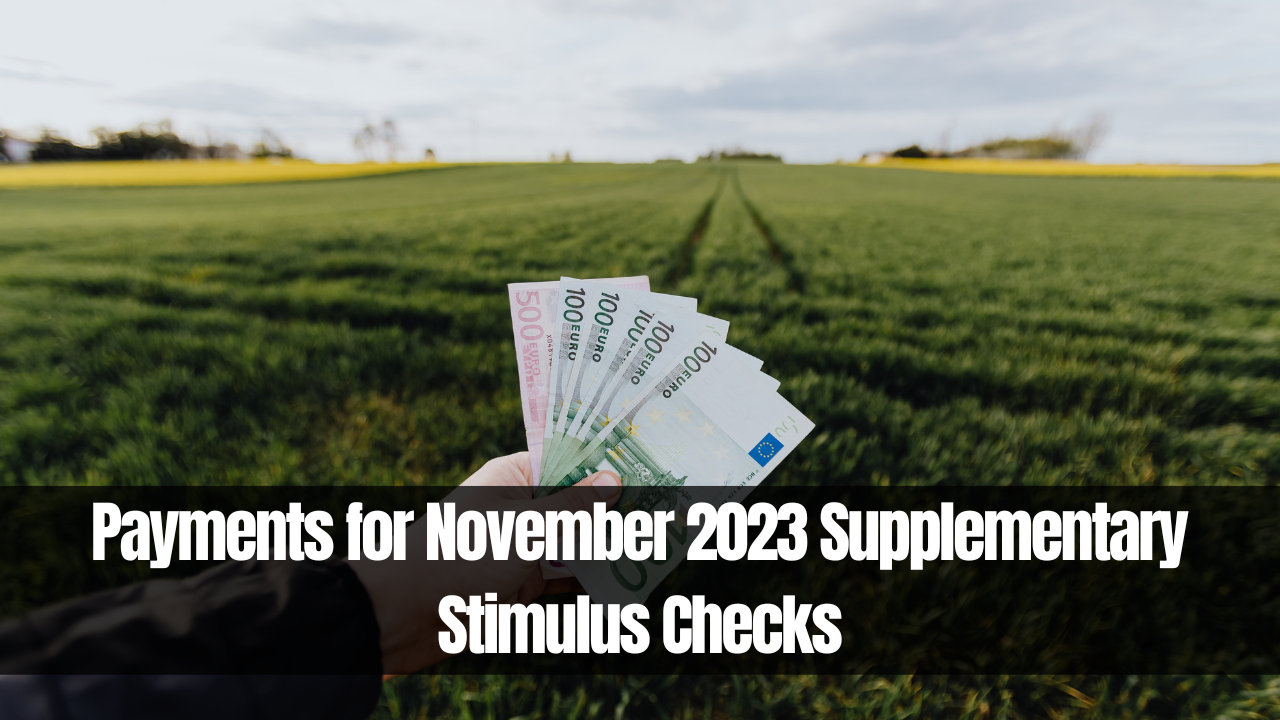Payments for November 2023 Supplementary Stimulus Checks