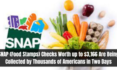 SNAP (Food Stamps) Checks Worth up to $3,166 Are Being Collected by Thousands of Americans in Two Days